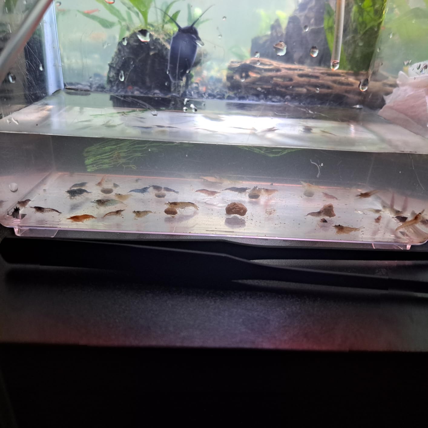 B0CZPVJ12W Customer Photo 1