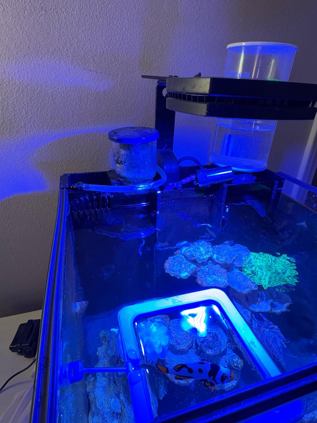 B0D9TK3DGN Customer Photo 3