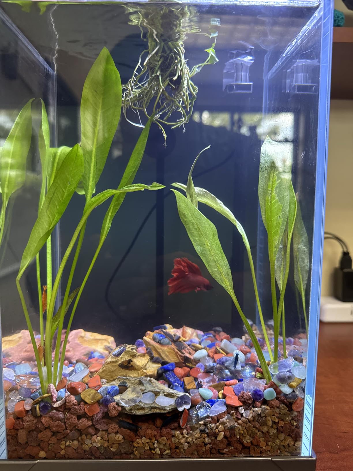 B0DBLKYPXK Customer Photo 1