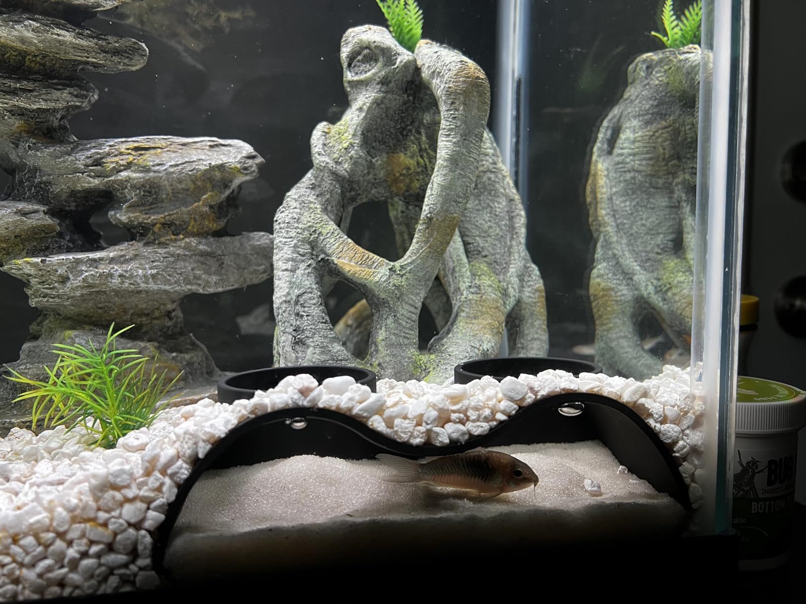 Aquarium Underground Tunnel Cave Natural Curve Two Hole | Viewing Fish & Shrimp Under Gravel Tunnel | Fish Tank Decor Decoration Hideout Perfect for Corydora Catfish, Kuhli Loach, Pleco - Customer Photo 2