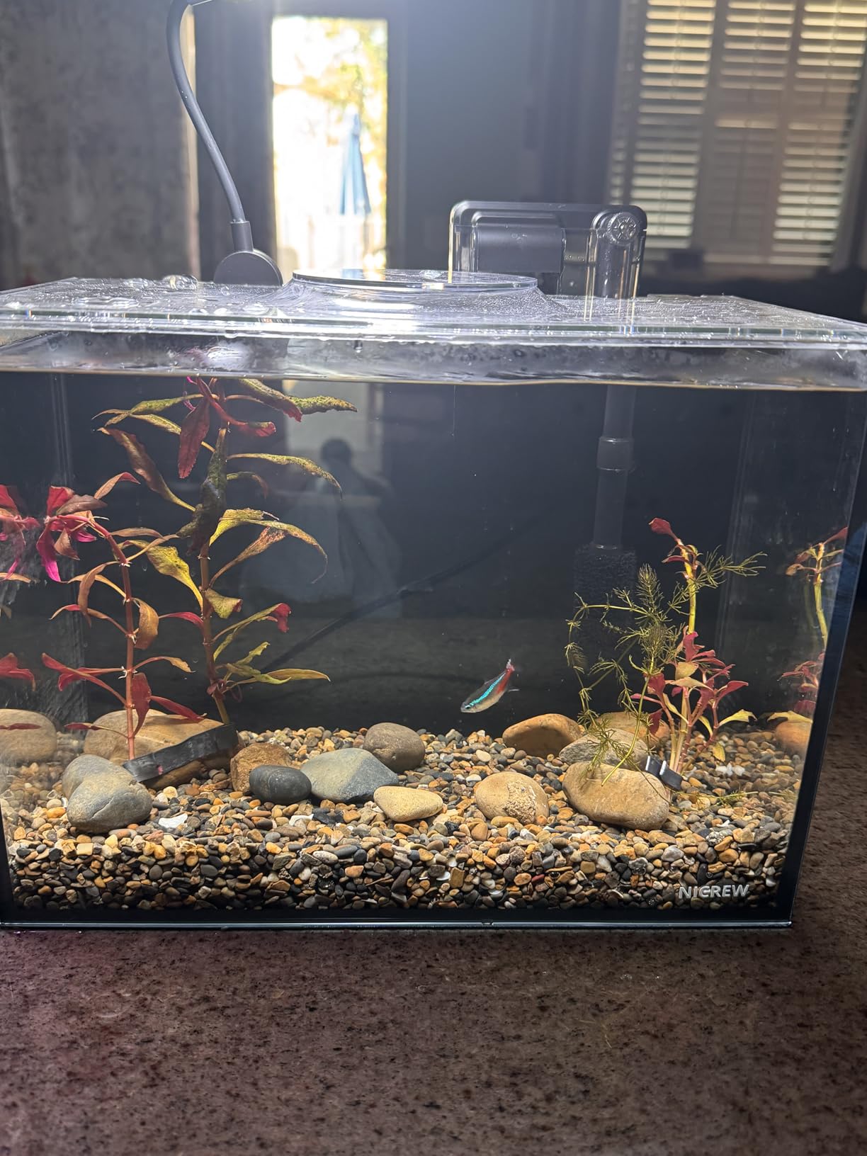 B0DMNV8MXG Customer Photo 1