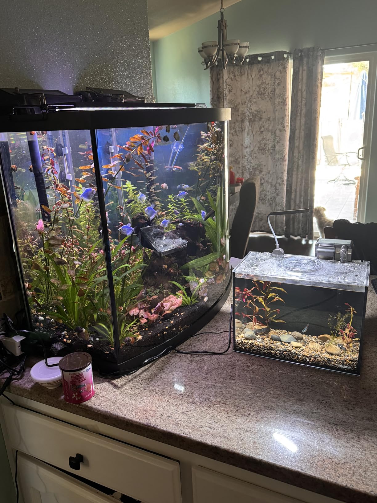 B0DMNV8MXG Customer Photo 2