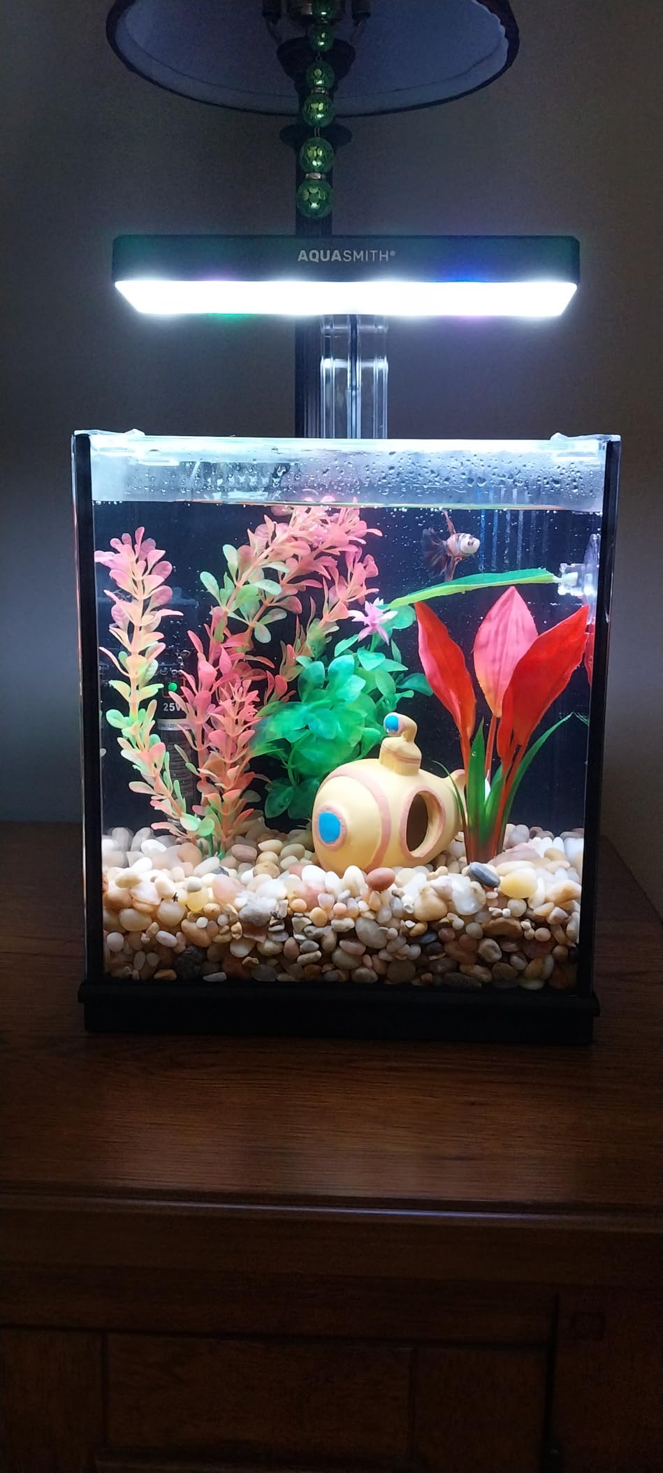 B0F5HJMLKY Customer Photo 1