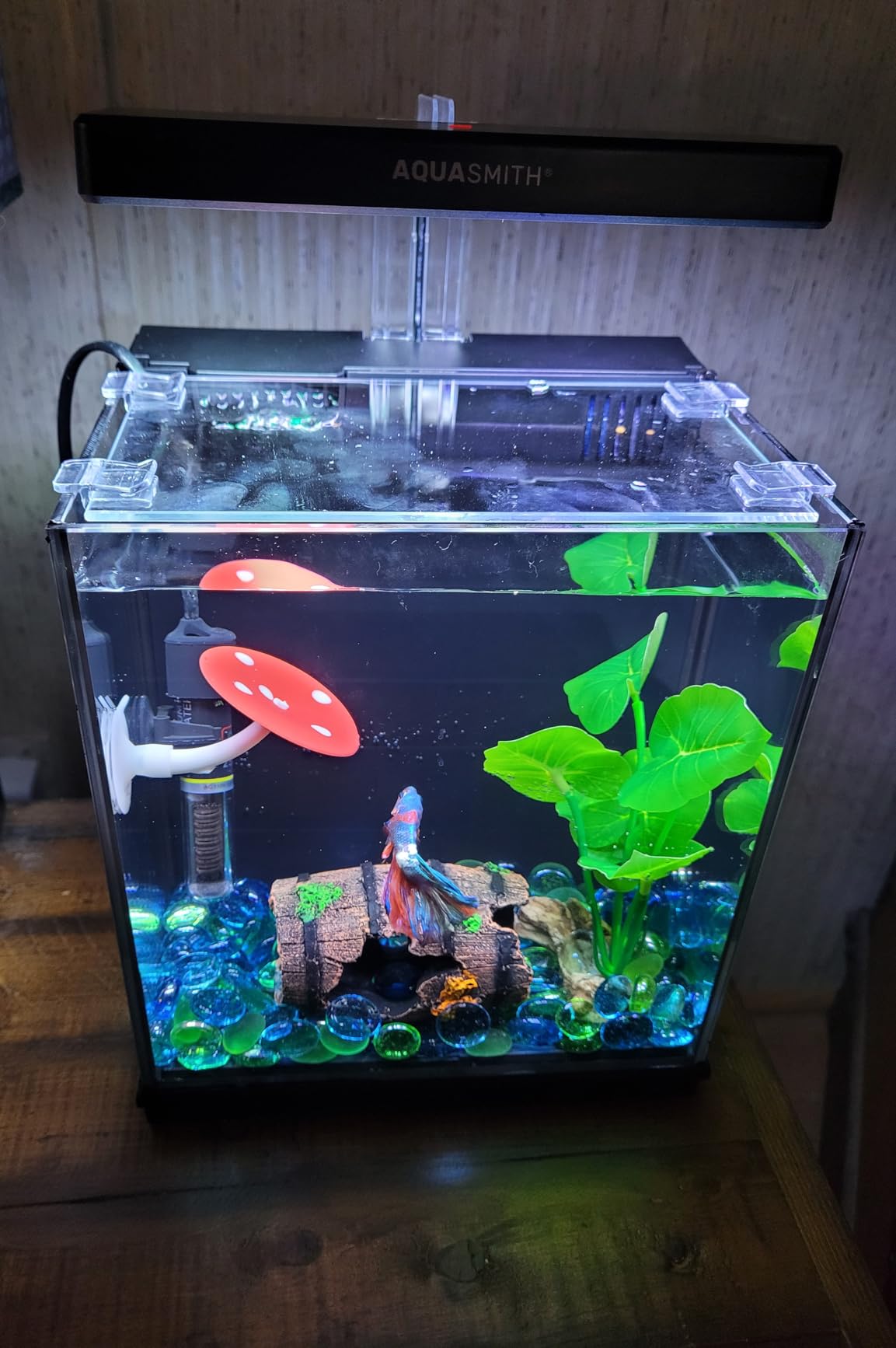 B0F5HJMLKY Customer Photo 2