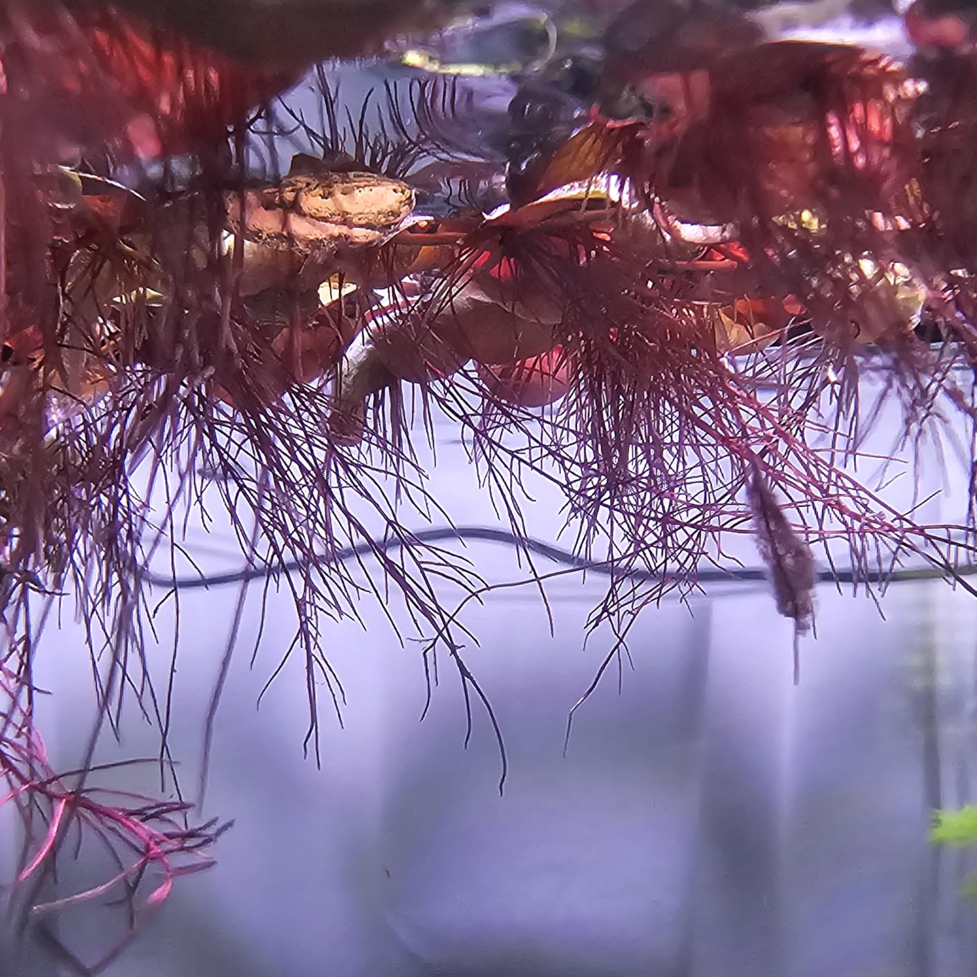 B0F692G639 Customer Photo 1