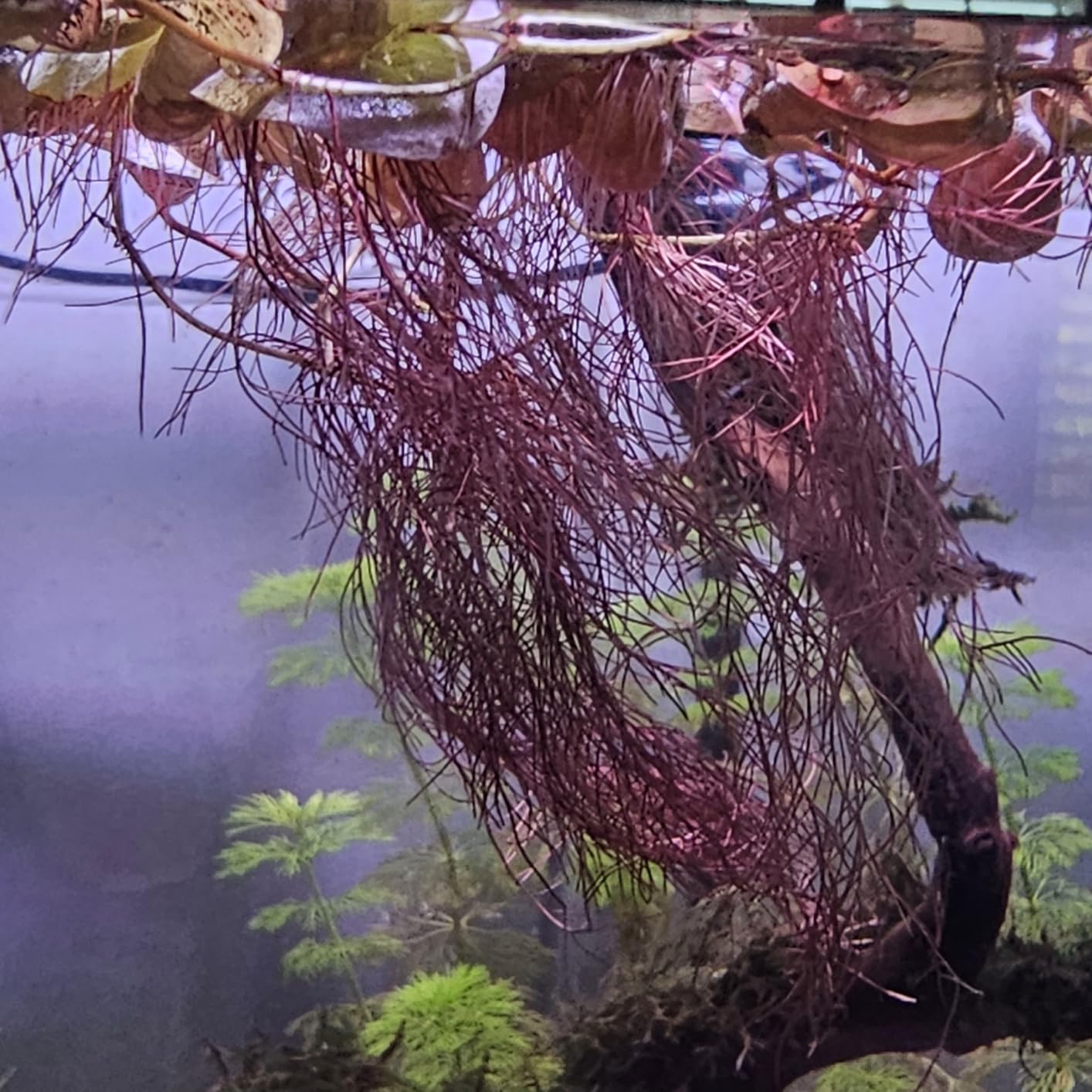 B0F692G639 Customer Photo 2