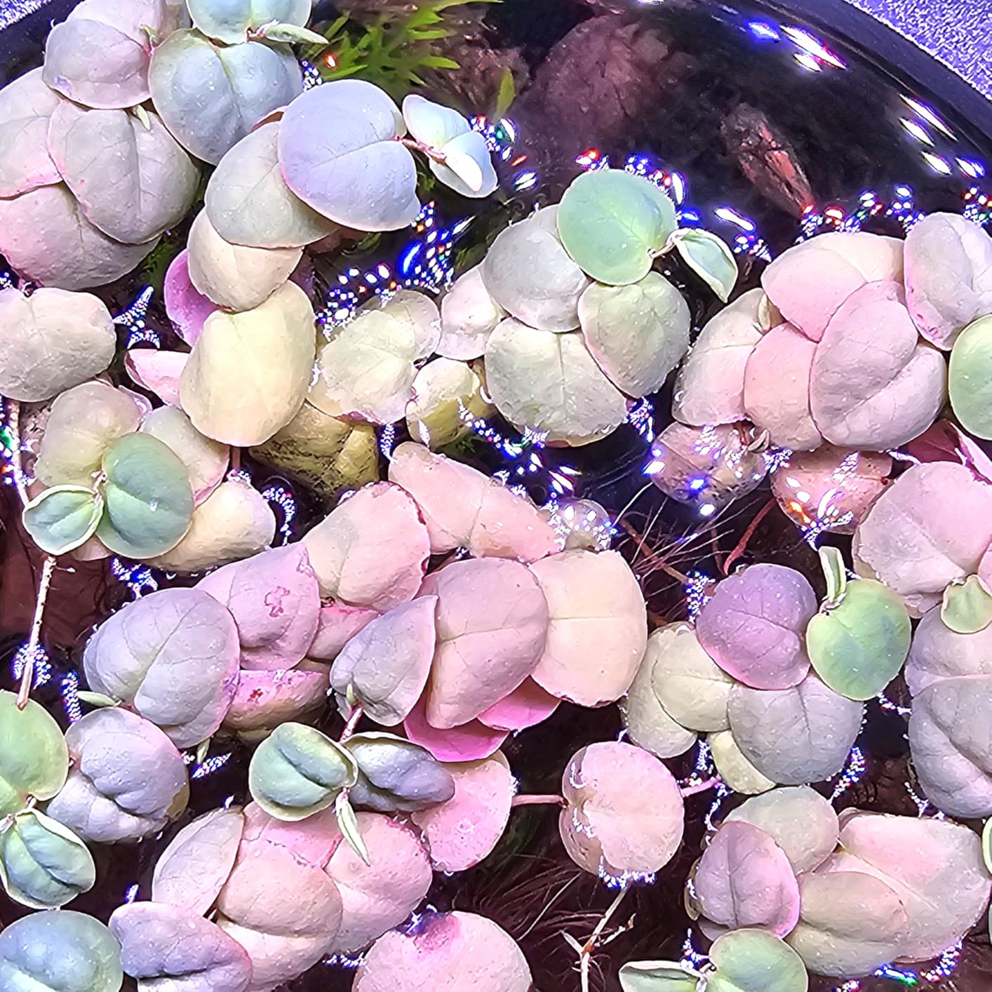 B0F692G639 Customer Photo 3