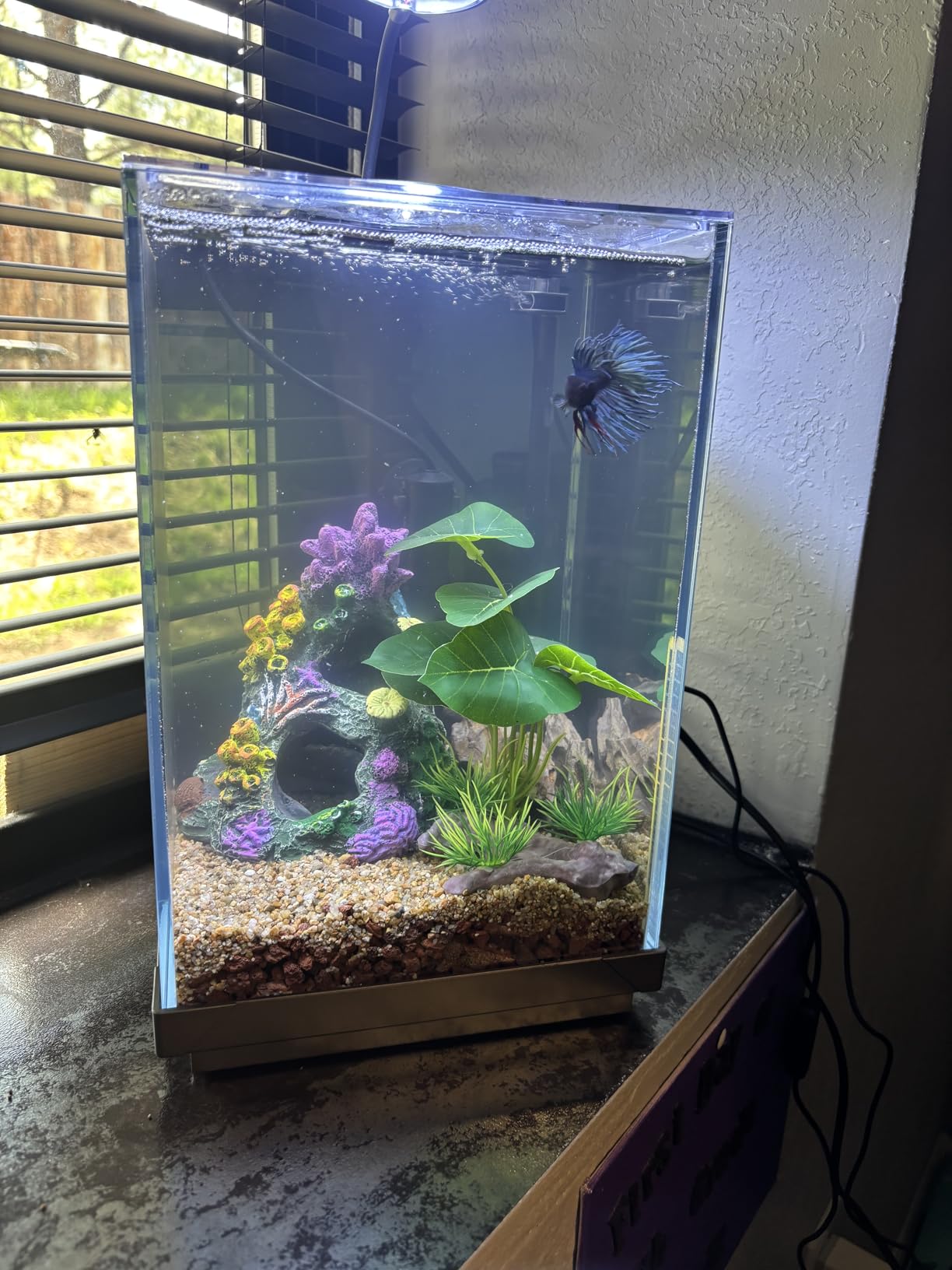 B0F7LHWSSY Customer Photo 2