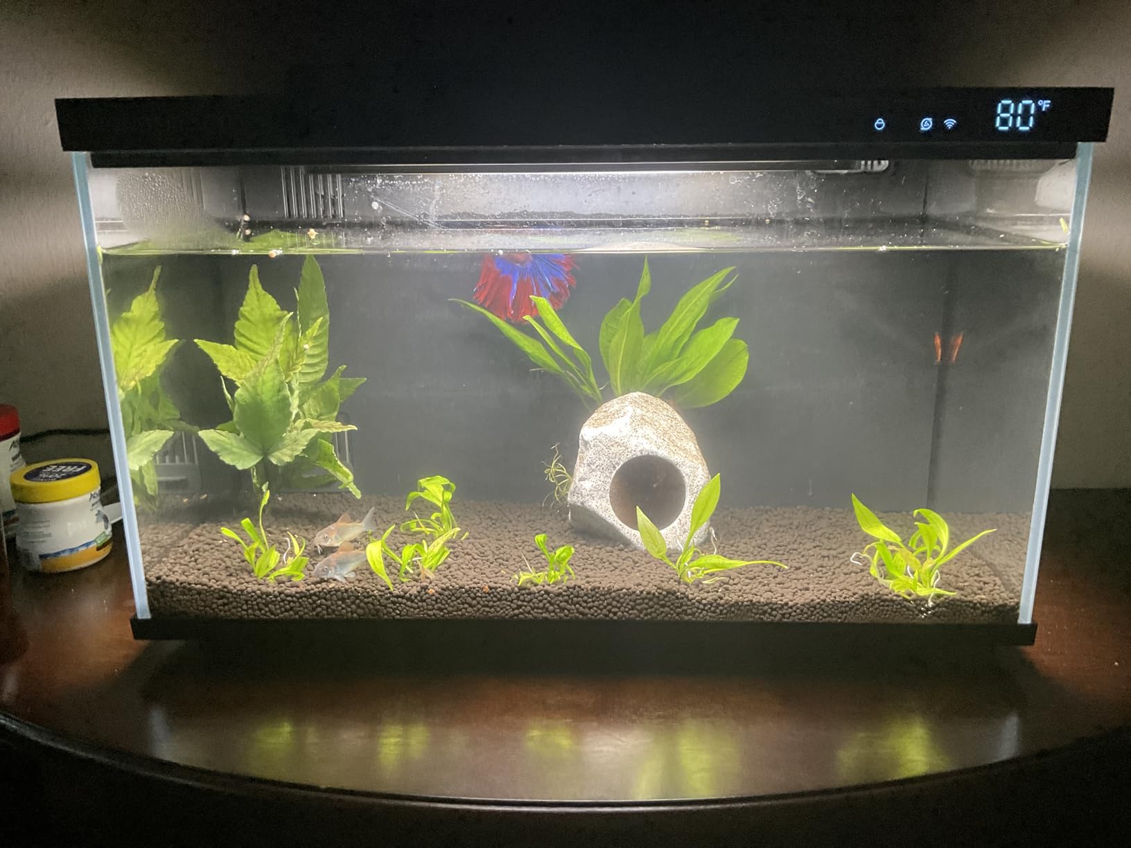 B0F9WVVNZ6 Customer Photo 2