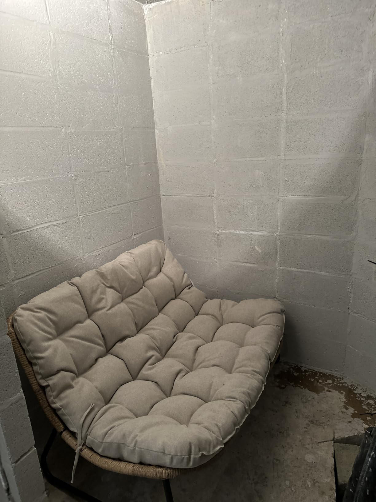 Wet & Forget 803064 Miss Muffet's Revenge Indoor and Outdoor Spider Killer with Attached Sprayer, 64 Fluid Ounces, Ready to Use - Customer Photo 2