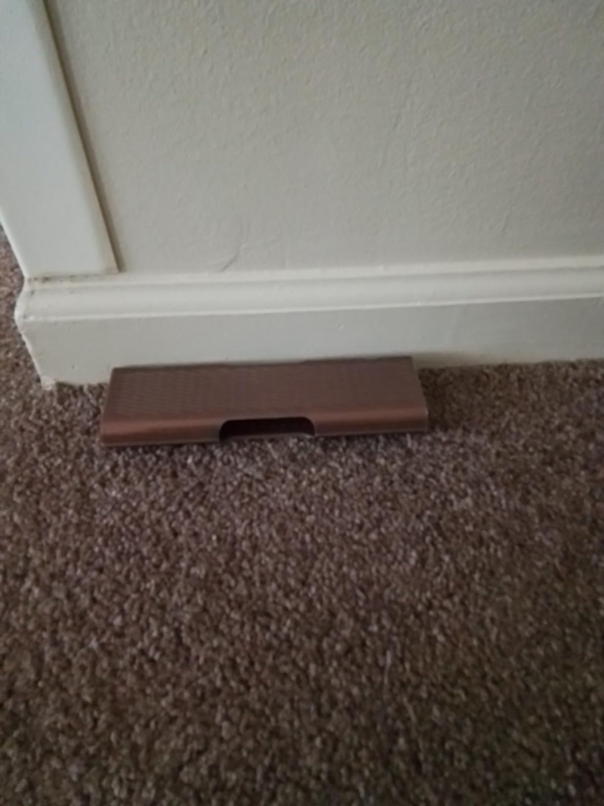 RESCUE! Spider Traps â Catches Brown Recluse, Hobo Spiders, Black Widows & Wolf Spiders â 3 Traps - Customer Photo 2