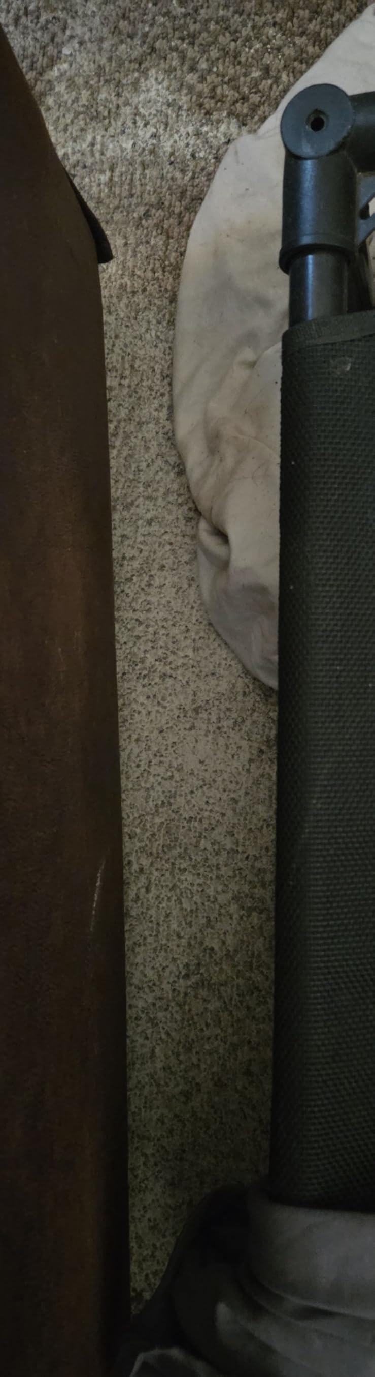 HARRIS Diatomaceous Earth Food Grade, 4lb with Powder Duster Included in The Bag - Customer Photo 1