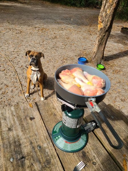 Coleman BottleTop Propane Stove with Adjustable Burner, Portable Camping/Backpacking Cooker with 7650 BTUs of Power for Camping, Tailgating, Grilling, & More - Customer Photo 1