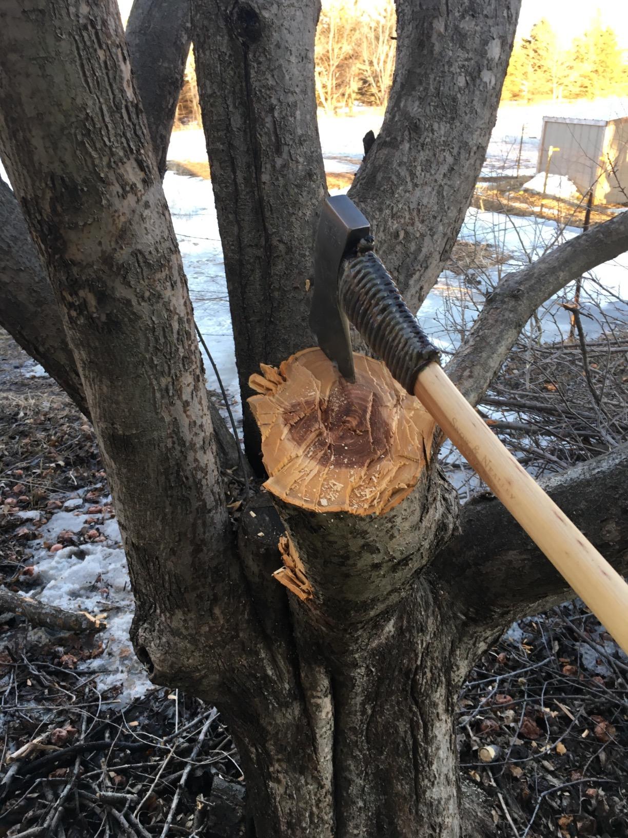 Snow and Nealley Hudson Bay Axe - Customer Photo 2