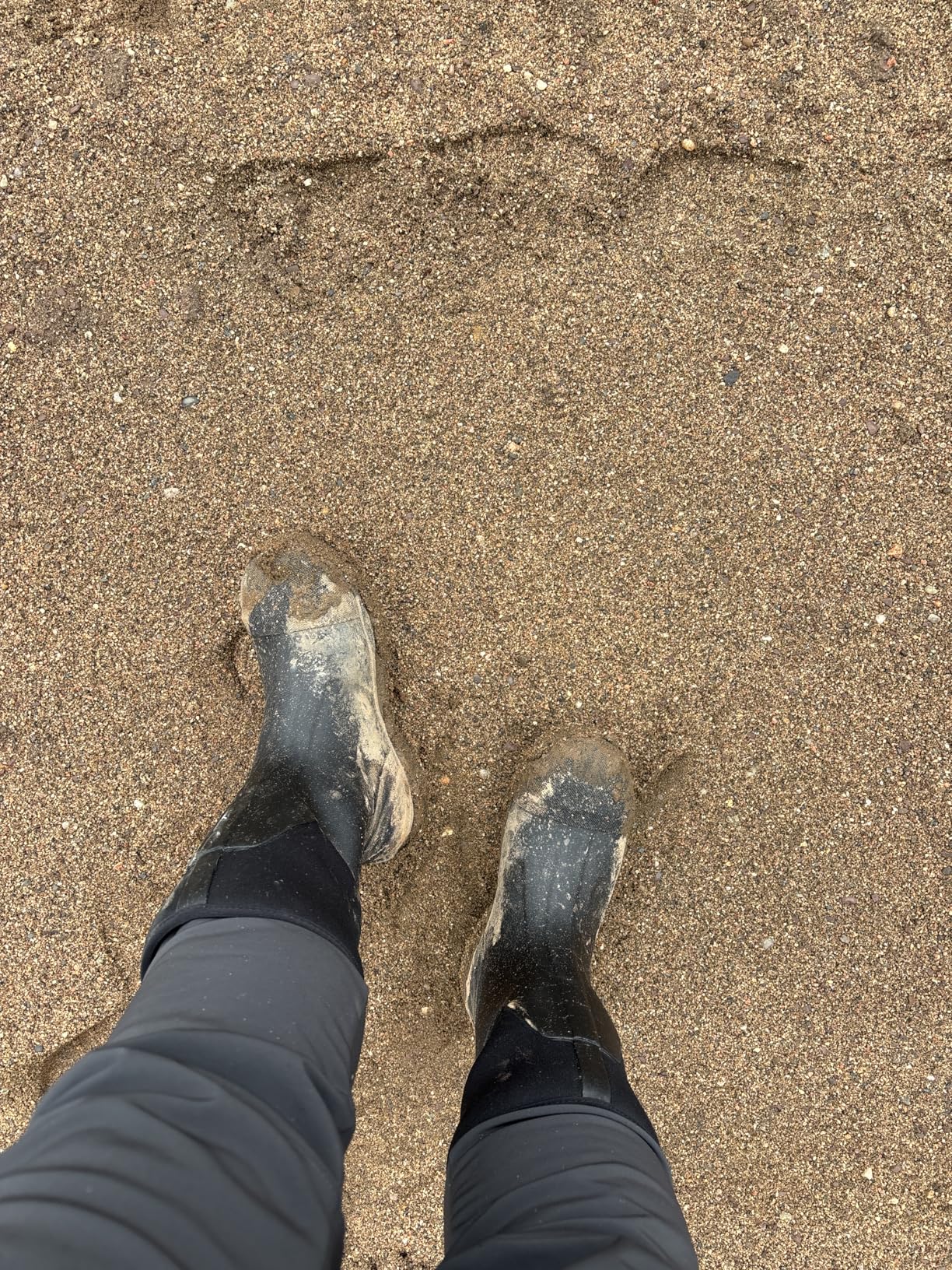 MUCK Men's Chore Classic Tall Work Boot - Customer Photo 1