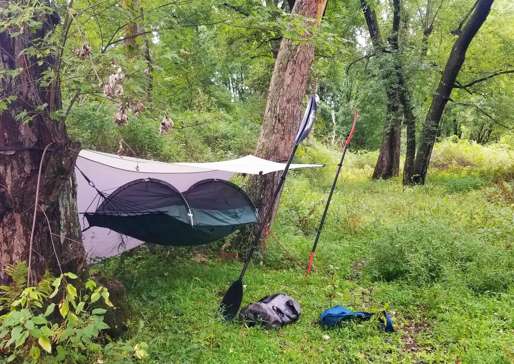 Lawson Hammock Blue Ridge Camping Hammock and Tent - Customer Photo 2