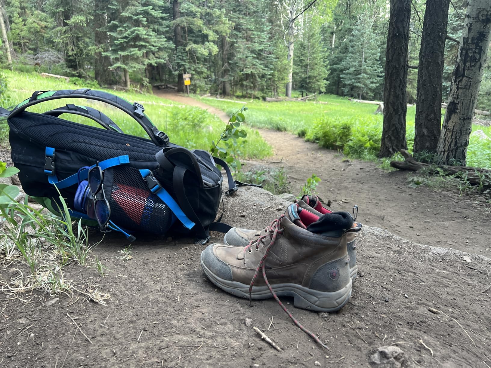 Ariat Women's Terrain Pro Hiking Boot - Customer Photo 1