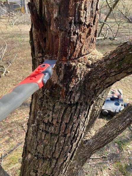 Silky Professional F180 180mm Folding Saw Large Teeth (143-18) - Customer Photo 4