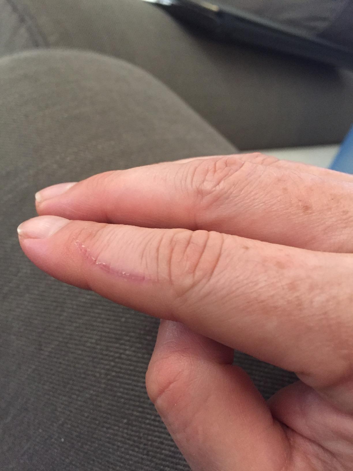 Chef'sChoice Manual Knife Sharpeners for 15- and 20-Degree Straight-Edge and Serrated Knives with Diamond Abrasives Precise Angle Control & Compact Footprint, 2-Stage, Gray - Customer Photo 1