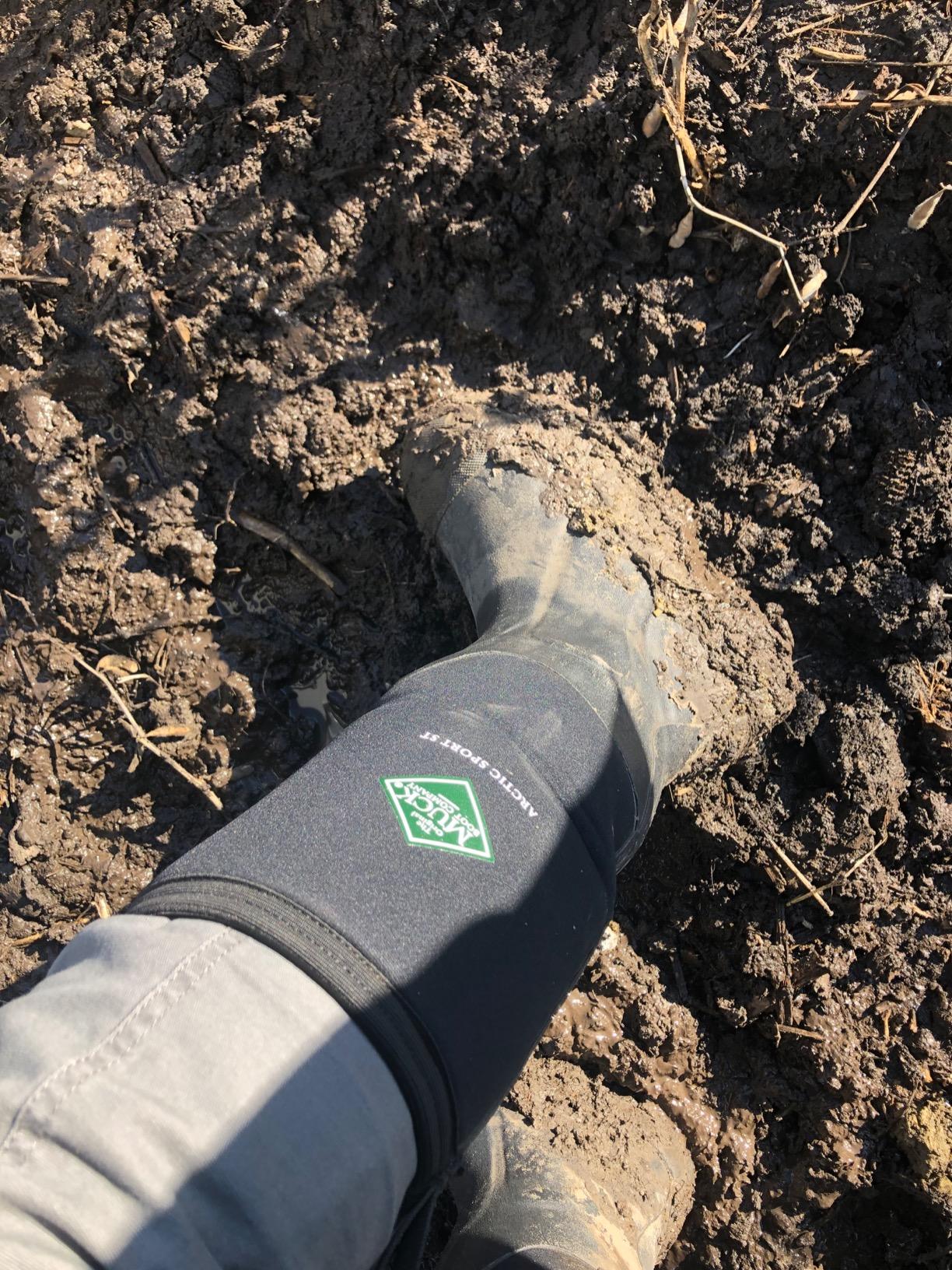 MUCK Arctic Sport Steel Toe Waterproof Insulated Work Boot - Customer Photo 2