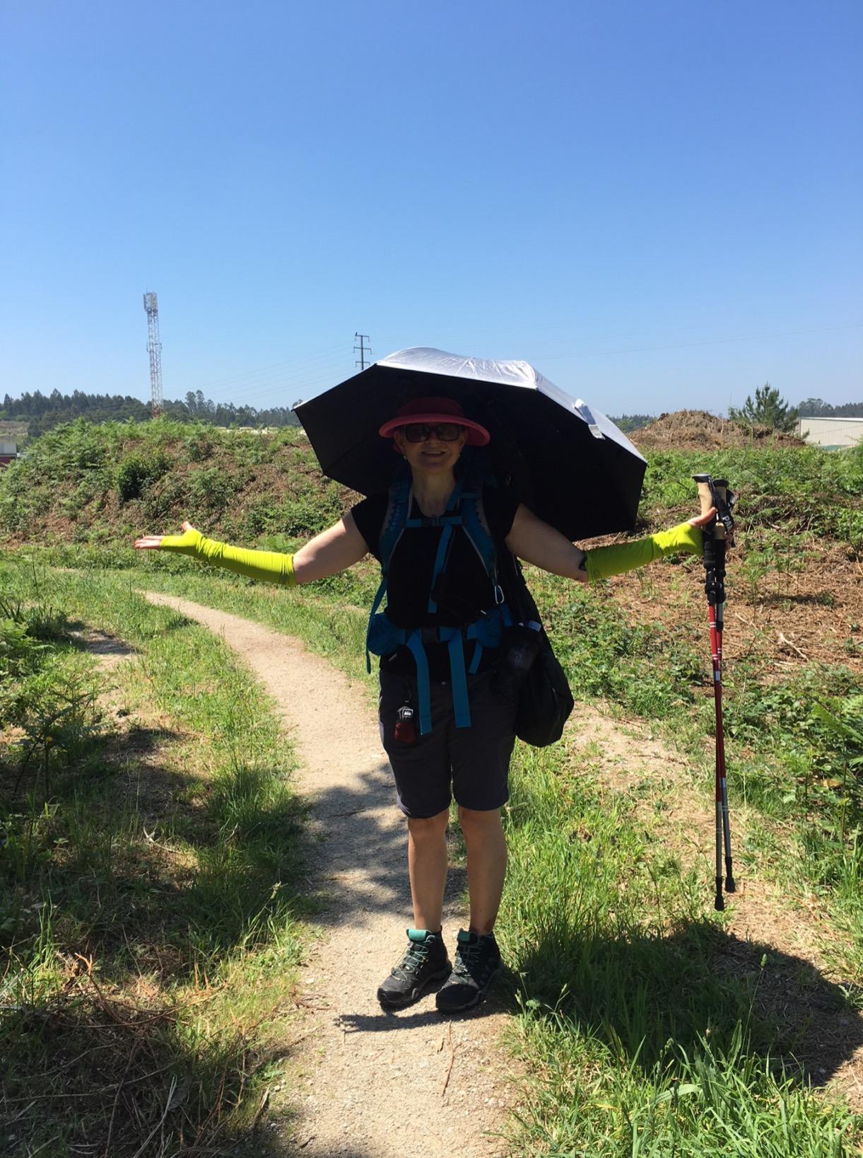 EuroSCHIRM Swing Liteflex Ultra-Light Weight Trekking Umbrella, 37.5