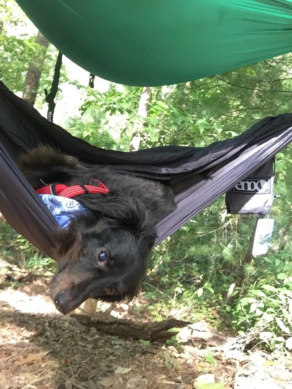 ENO, Eagles Nest Outfitters Underbelly Gear Sling, Hammock Accessory, Charcoal - Customer Photo 2