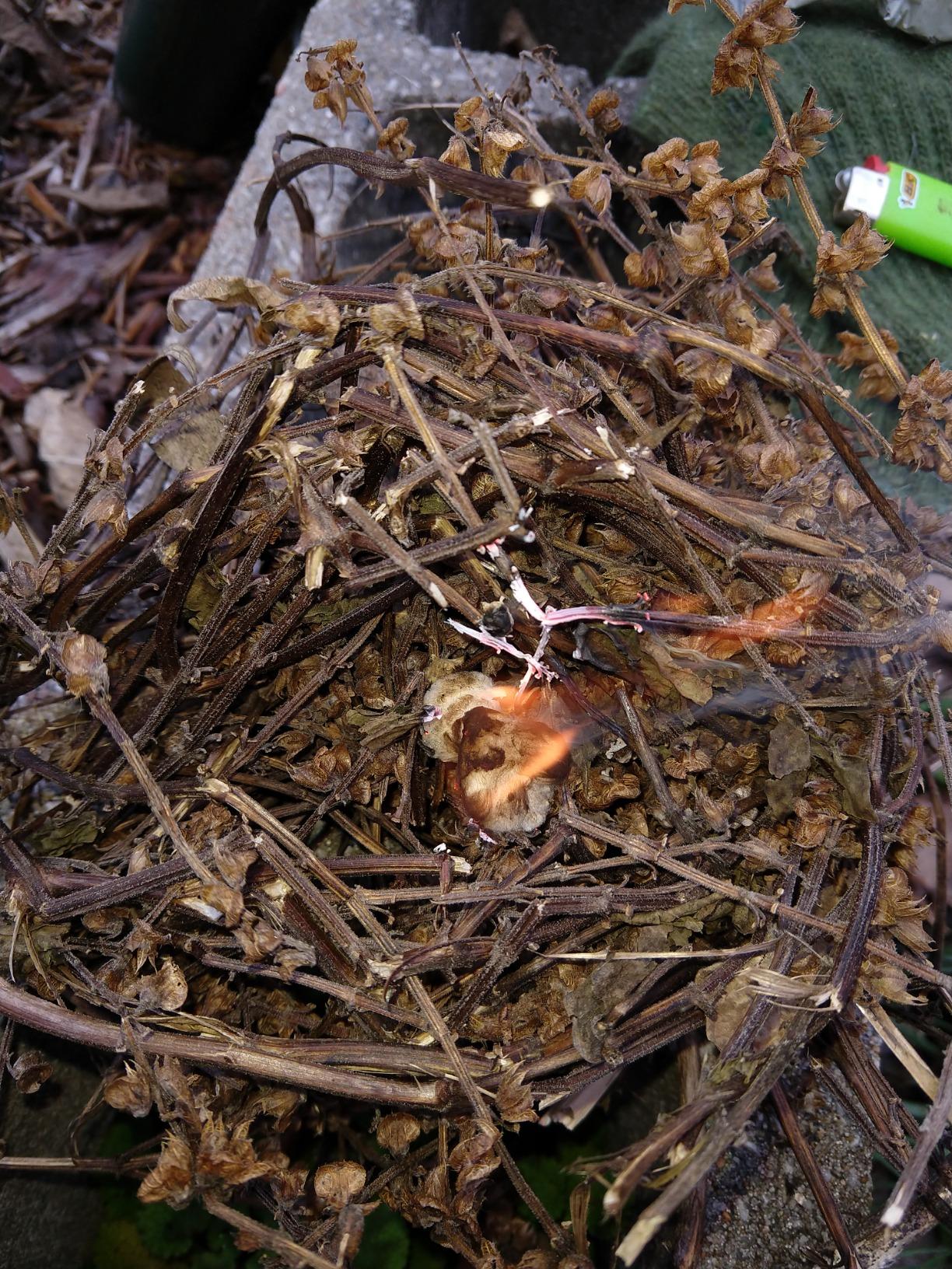 5col Survival Supply TinderQuik Firestarting Tabs 50 (for SparkLite FireSteel Blastmatch) - Customer Photo 1