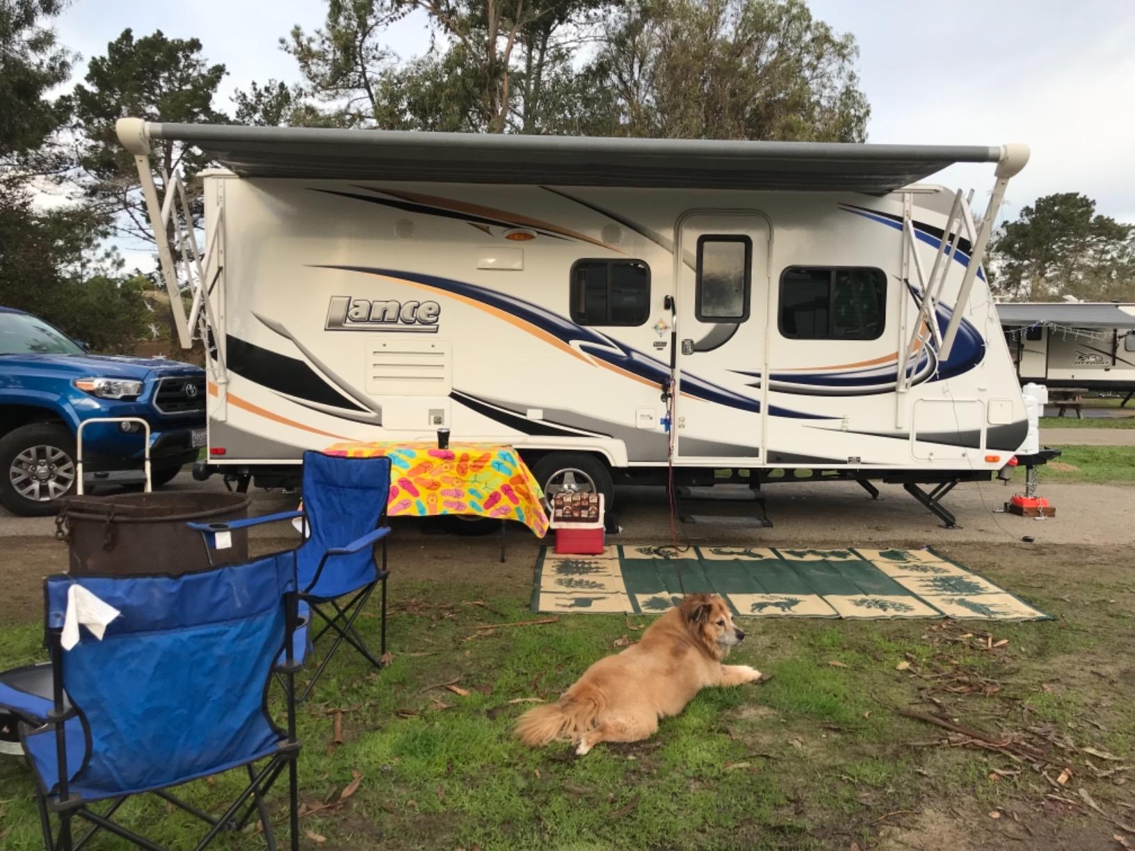 Stylish Camping 226094 6-feet by 9-feet Reversible Mat, Plastic Straw Rug, Large Floor Mat for Outdoors, RV, Patio, Backyard, Picnic, Beach, Camping - Hunter Mat (Green/Beige) - Customer Photo 1