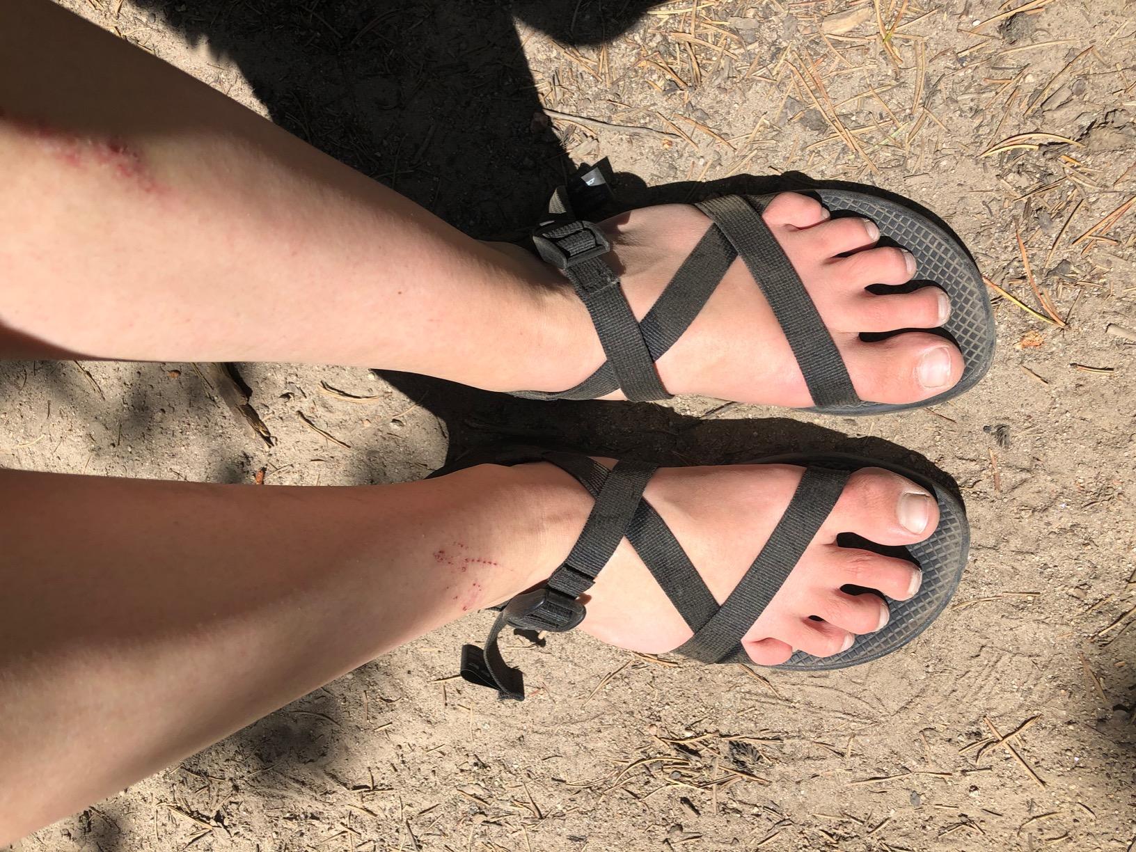 Chaco Women's Z1 Classic Sandals - Customer Photo 2