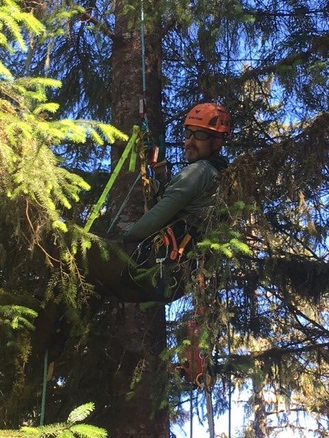 Fusion Meka Work Climbing Helmet - Customer Photo 1