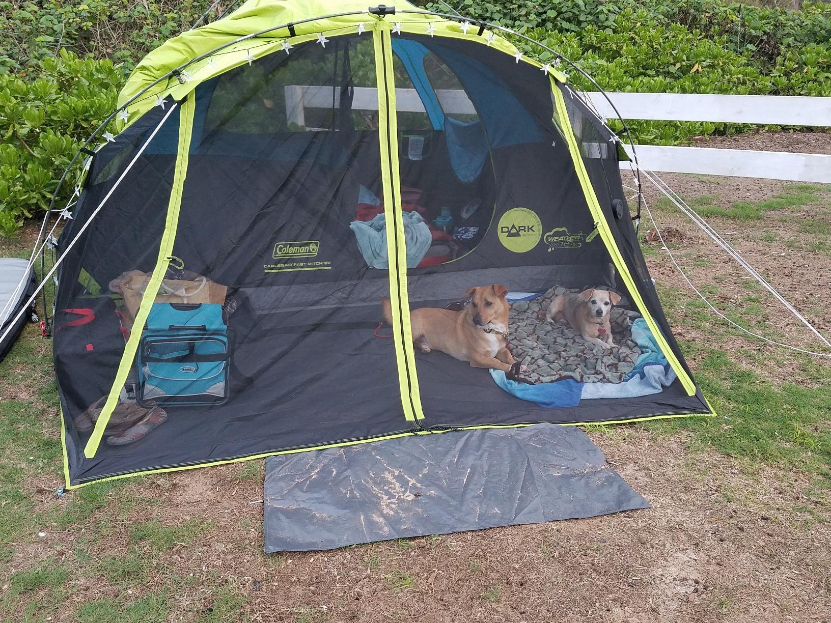 Coleman Carlsbad Dark Room Tent with Screened Porch, 4/6 Person Tent Blocks 90% of Sunlight to Keep Inside Cool, Weatherproof Shelter with Easy Setup, Made of PFAS-Free Materials - Customer Photo 3