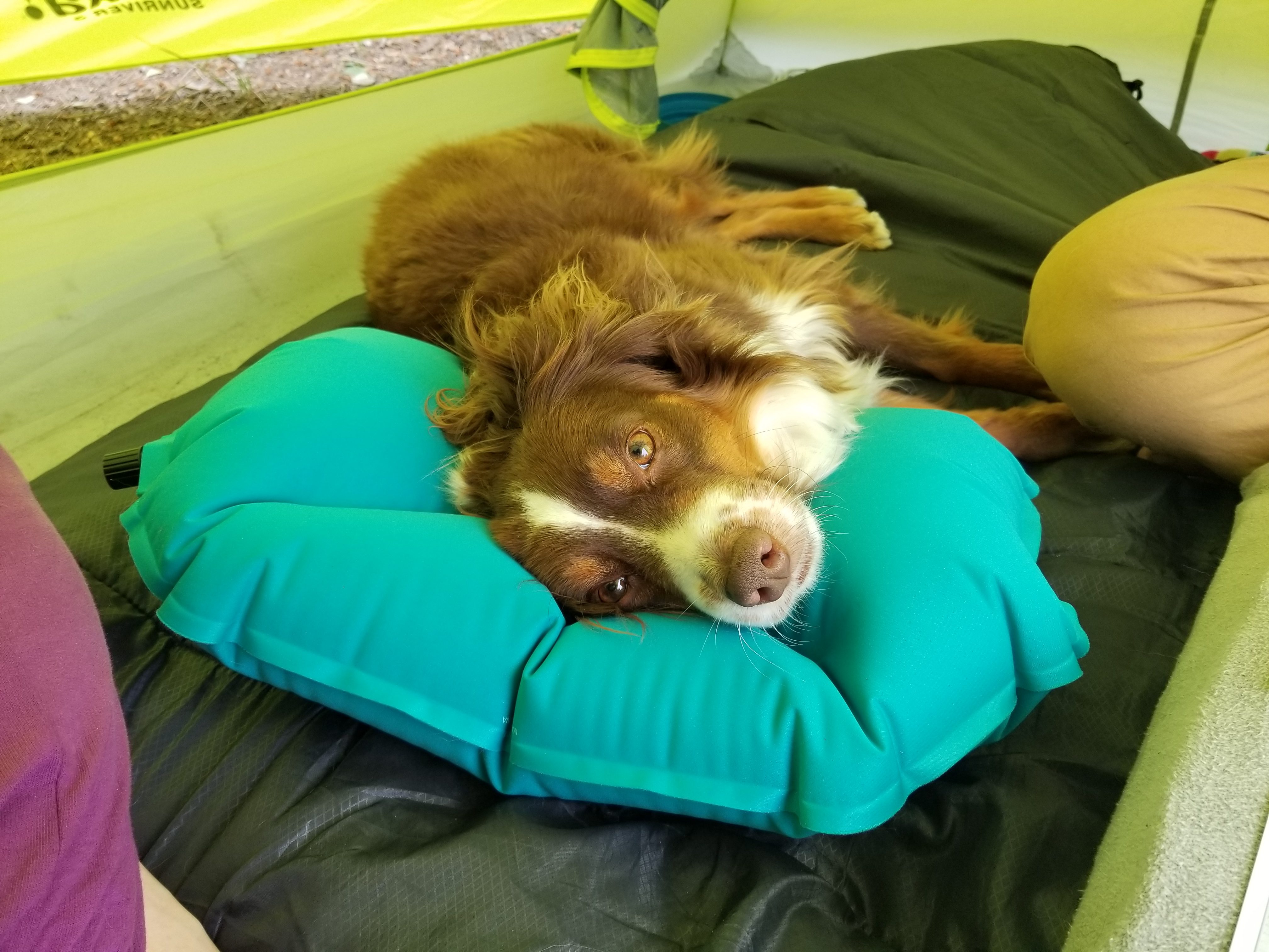 Klymit Pillow X Travel Pillow, Lightweight Inflatable Hybrid Airplane, Backpacking, Hammock, and Camping Pillow - Customer Photo 3