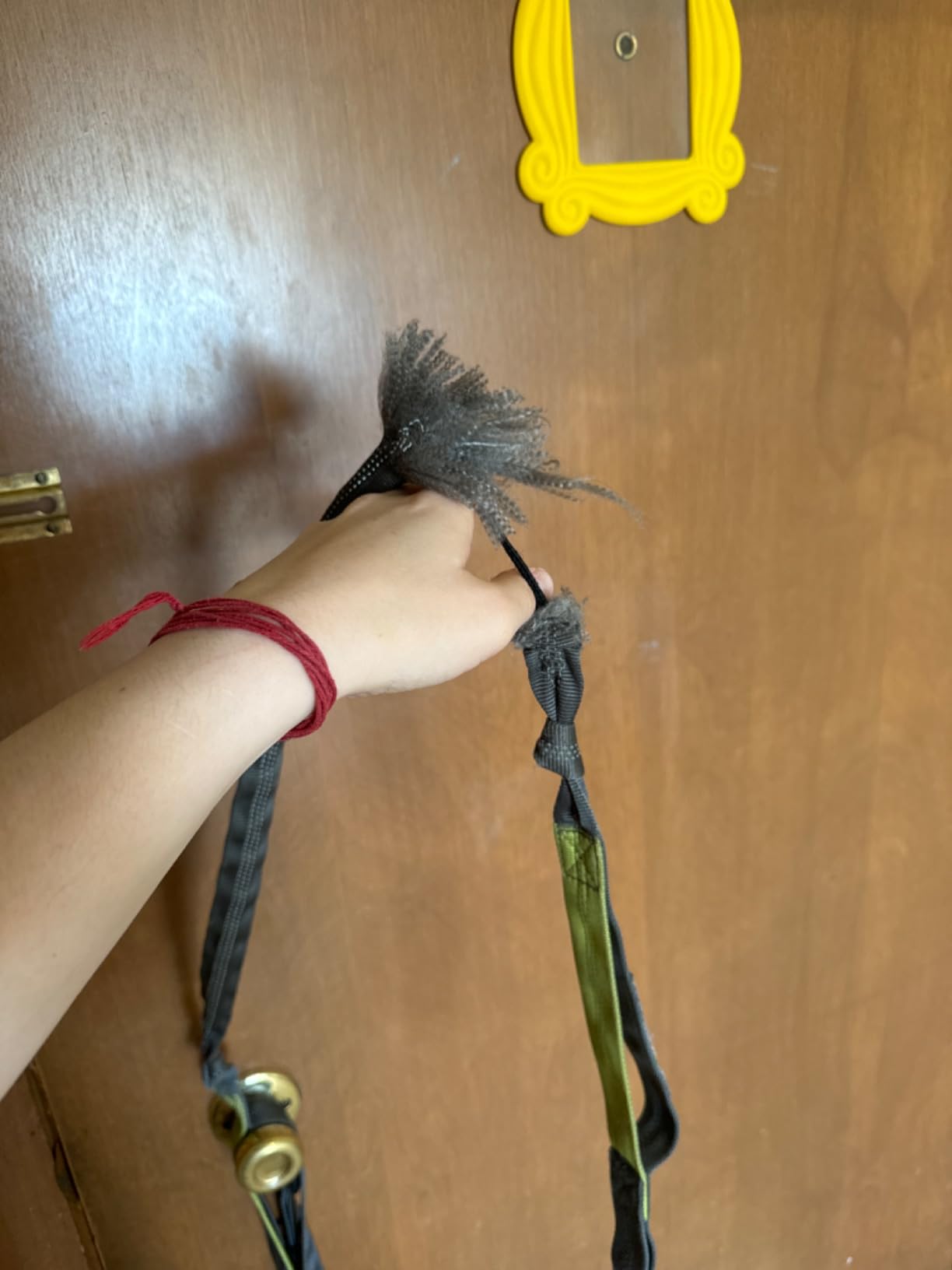 Tuff Mutt Hands Free Dog Leash for Walking Running Hiking, Waist Leash with Bungee, Adjustable Belt, Reflective Double Handle Design for Large Medium Dogs - Customer Photo 4