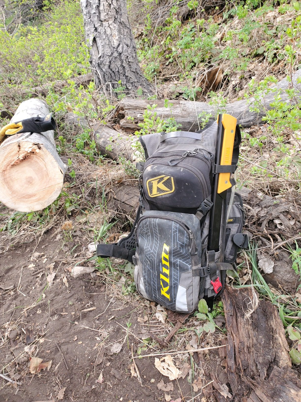 AGAWA - BOREAL21-21 Inch Folding Saw with All-Purpose Saw Blade - Camping Gear For Hiking, Fishing, Hunting, Bushcraft & Survival Kit (Black Frame/Green Handle) - Customer Photo 2