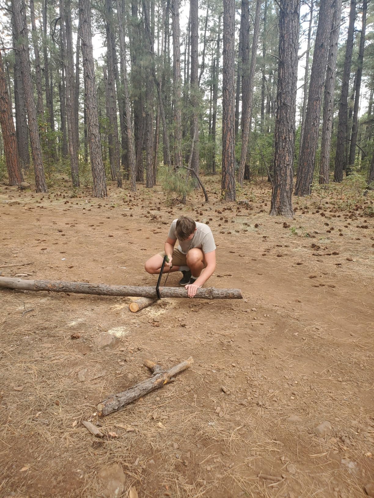 AGAWA - BOREAL21-21 Inch Folding Saw with All-Purpose Saw Blade - Camping Gear For Hiking, Fishing, Hunting, Bushcraft & Survival Kit (Black Frame/Green Handle) - Customer Photo 4