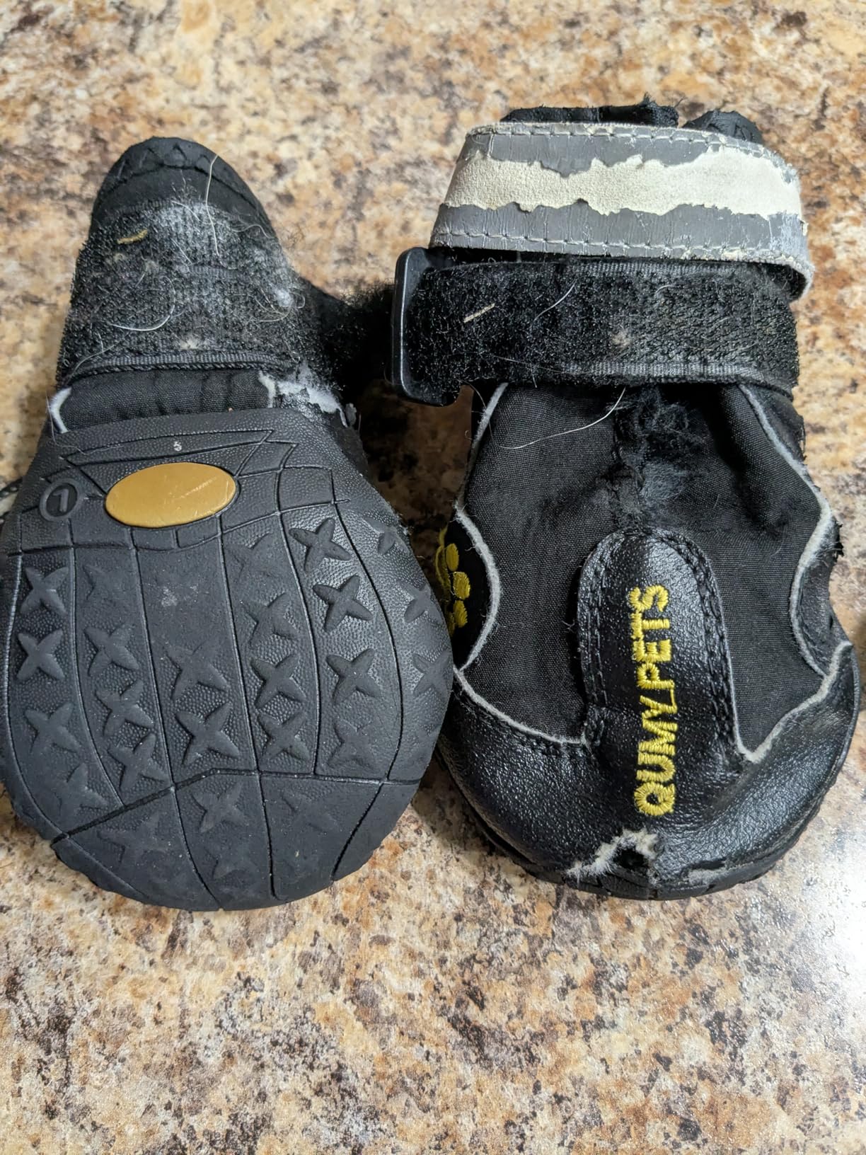 QUMY Dog Shoes for Large Dogs, Medium Dog Boots & Paw Protectors for Winter Snowy Day, Summer Hot Pavement, Water-Resistant in Rainy Weather, Outdoor Walking, Indoor Hardfloors Skid-Resistant Sole - Customer Photo 1