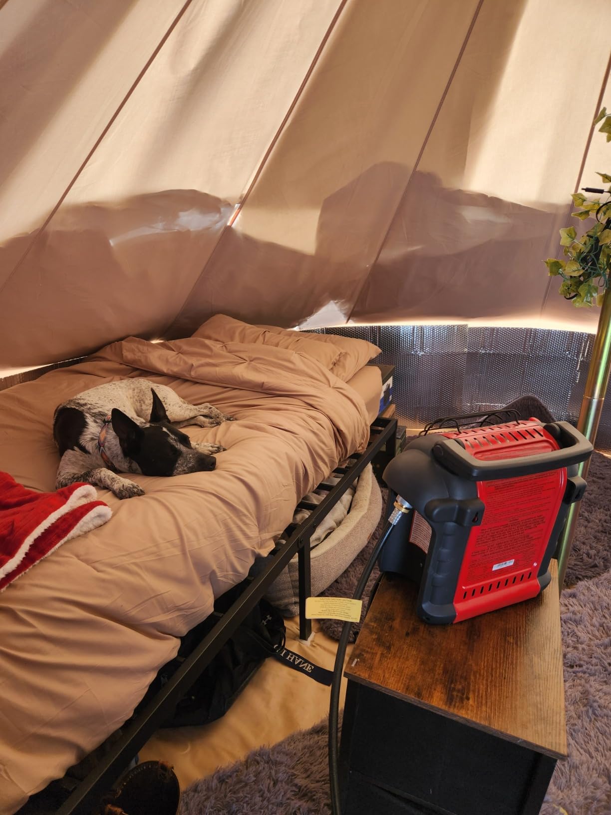 DANCHEL OUTDOOR B5PRO 4 Season Canvas Tent with Stove Jack Camping, Waterproof Bell Tent with AC Port Yurt All Year Living, Luxury Glamping for 4/6/8 Person Hunting Party, 13ft/16.4ft/20ft - Customer Photo 1