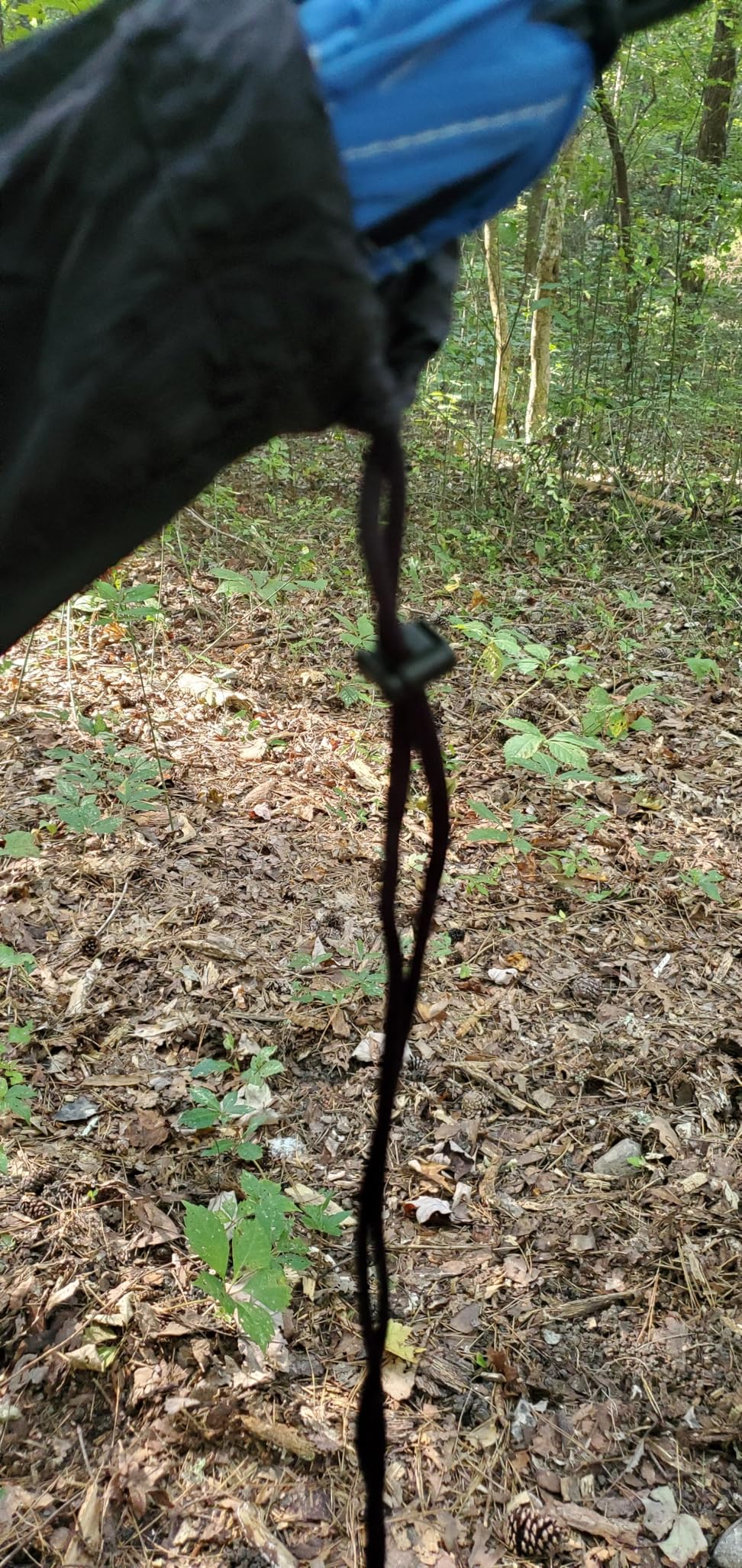 Wise Owl Outfitters Hammock Bug Net – Mosquito Net for Hammock, Lightweight Bug Netting for Camping, Hiking, Backpacking, Forest & Outdoor Use - Customer Photo 1