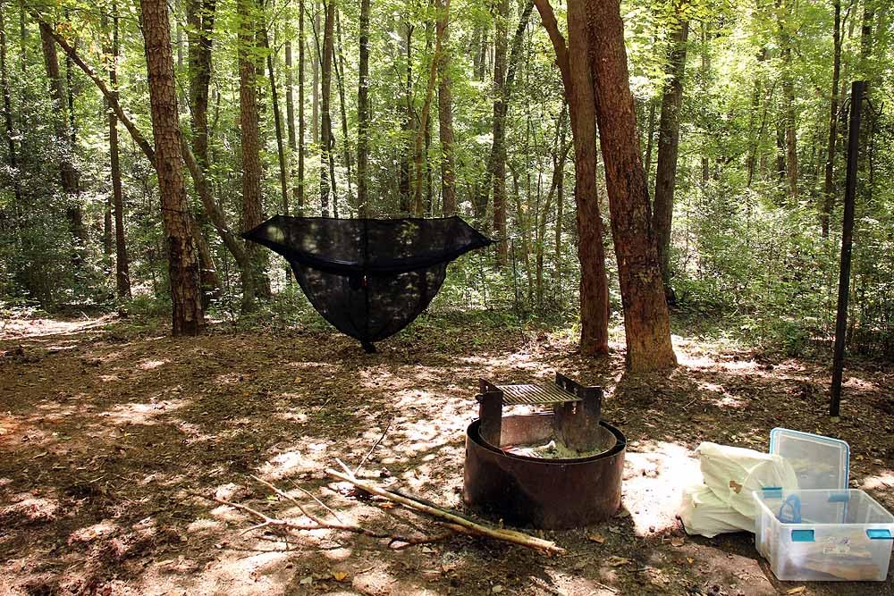 Wise Owl Outfitters Hammock Bug Net – Mosquito Net for Hammock, Lightweight Bug Netting for Camping, Hiking, Backpacking, Forest & Outdoor Use - Customer Photo 2