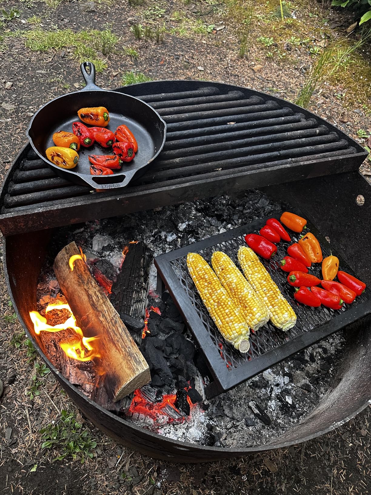 Amazon Basics Heavy-Duty Portable Camping Grill Grate for Campfire Cooking, Black - Customer Photo 2