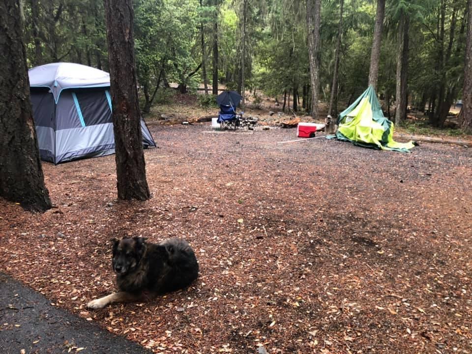 Ozark Trail 10' x 9' Six-Person Dark Rest Cabin Family Camping and Adventure Tent, Includes a Gear Loft, Hanging Organizer, and Electrical Port Access and Ground Vent for Improved Air Circulation - Customer Photo 1