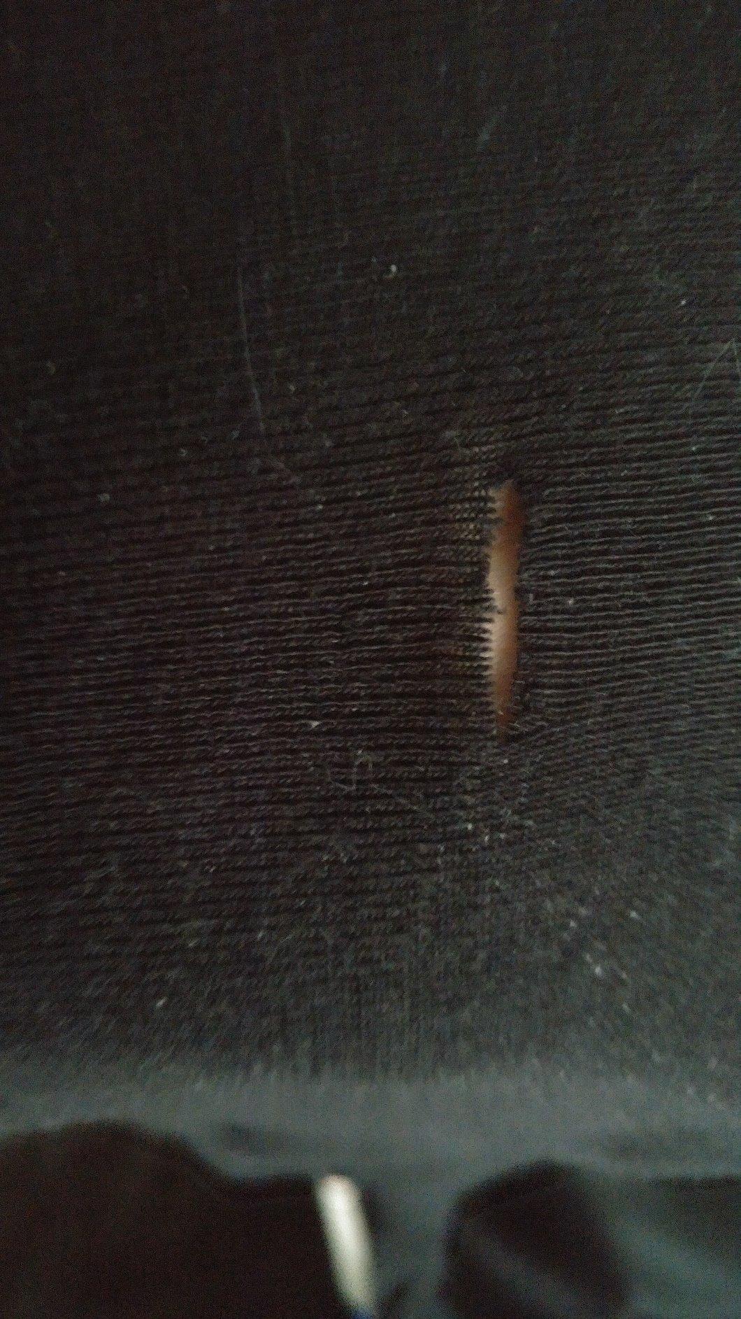 Icebreaker Merino Women's 175 Everyday Cold Weather Base Layer - Customer Photo 2