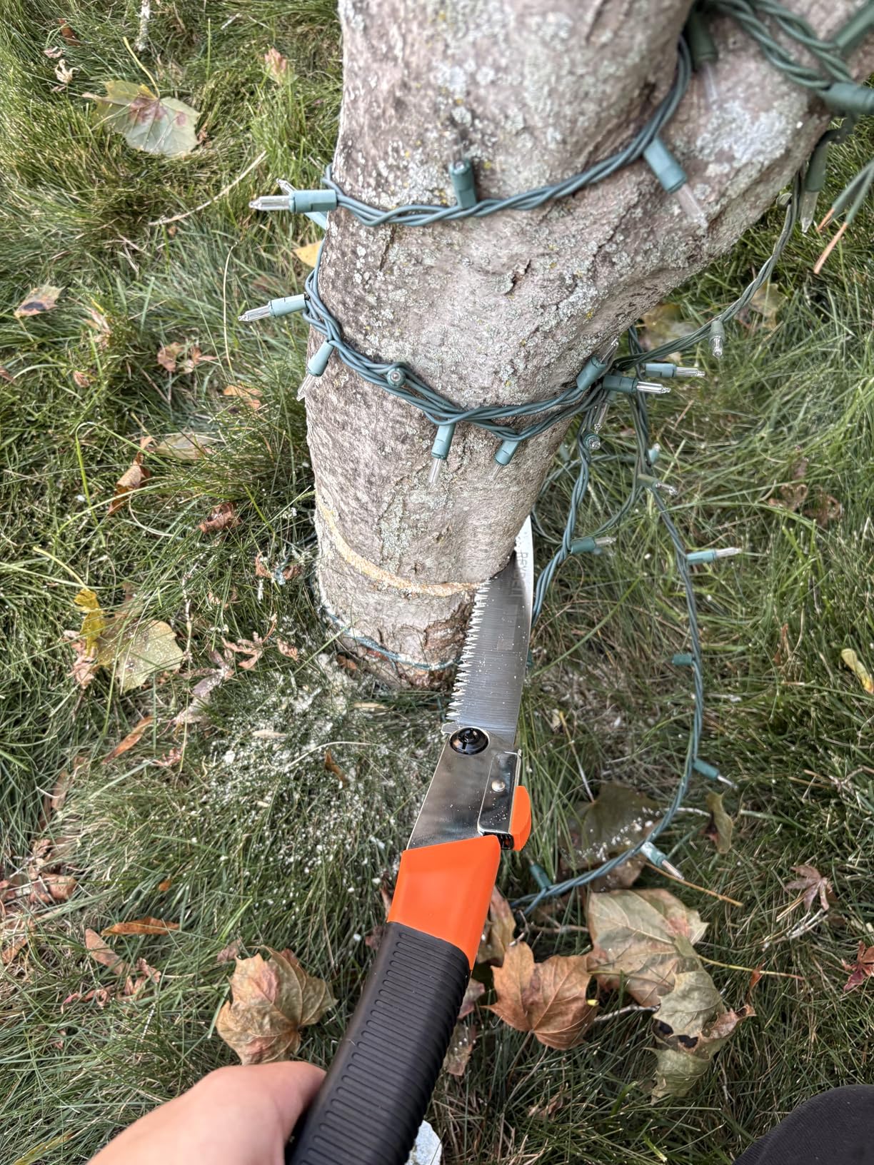 REXBETI Folding Saw, Heavy Duty 11 Inch Extra Long Blade Hand Saws for Wood Camping, Dry Wood Pruning Saws With Hard Teeth, Quality SK-5 Steel, Gifts for men - Customer Photo 5