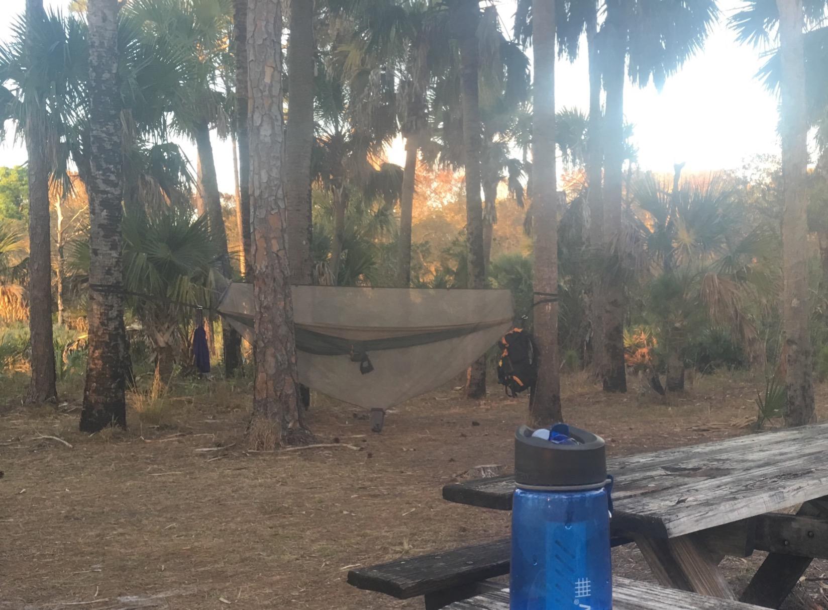 KAMMOK Dragonfly Insect Net - Granite Gray - Customer Photo 1