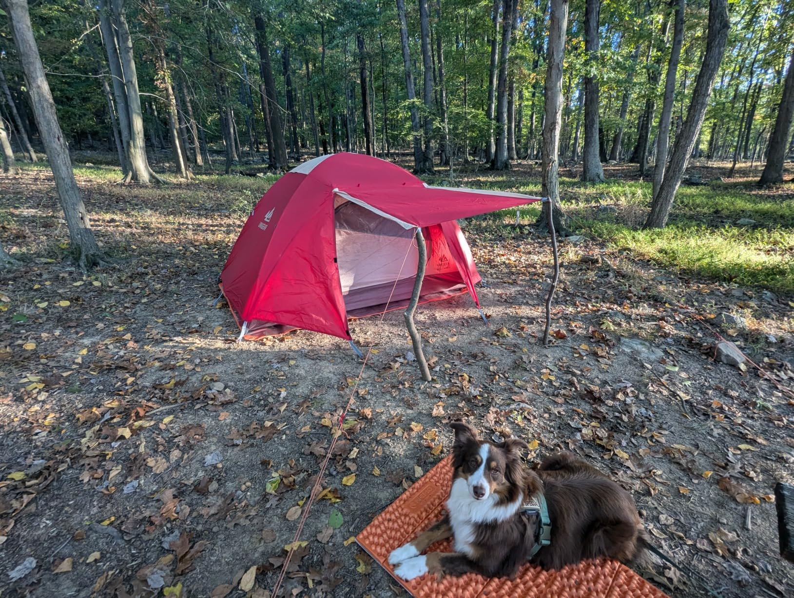NEMO Equipment Switchback Foam Sleeping Pad - Customer Photo 2