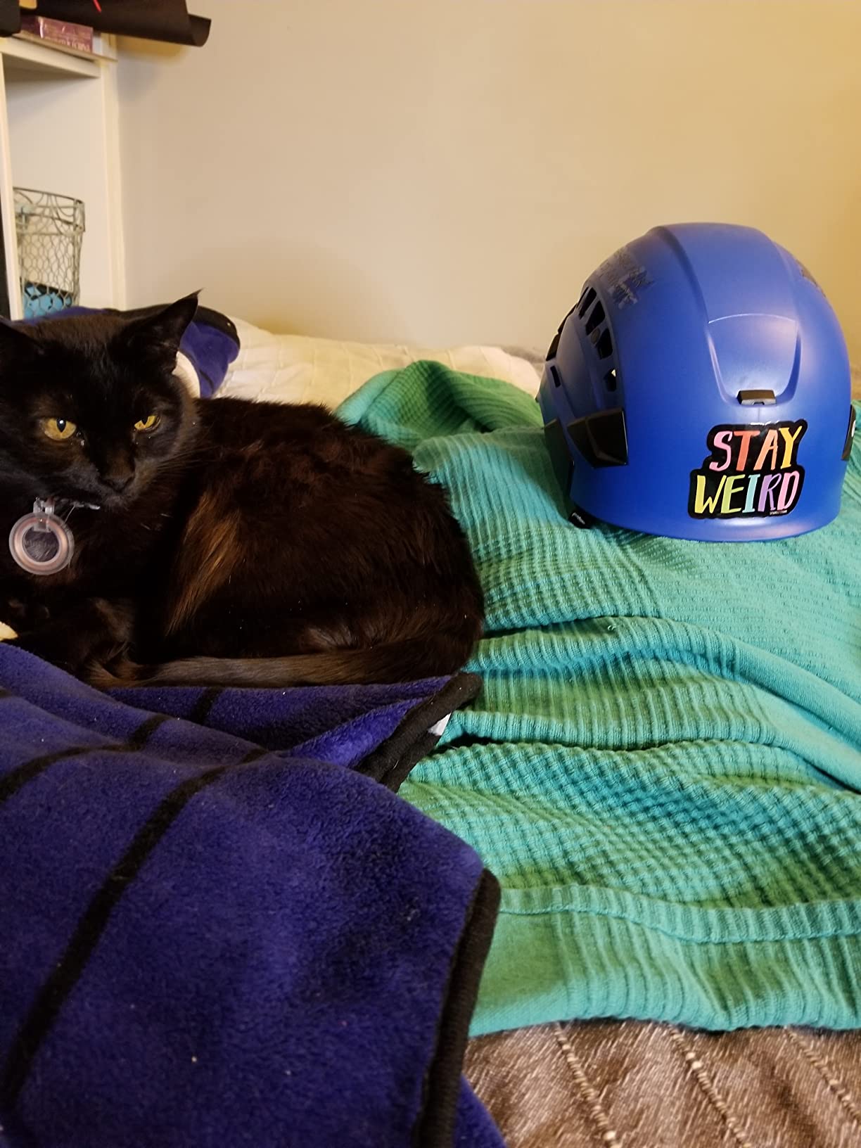 PETZL Vertex Vent - Customer Photo 2