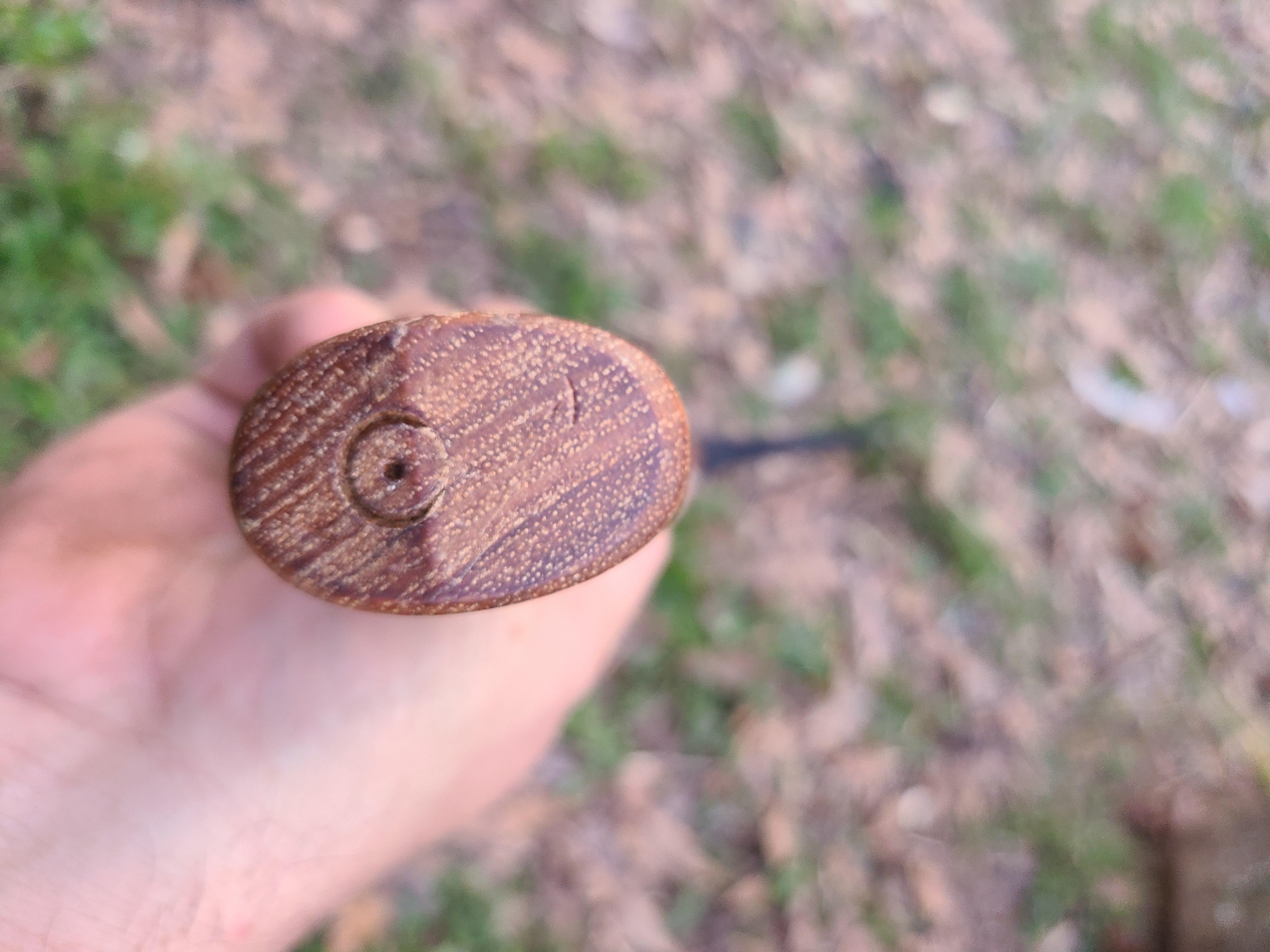 Husqvarna Hatchet, Small Axe with Leather Sheath and Hickory Handle, Ideal Small Hatchet Axe for Camping Gear and Gardening Tools - Customer Photo 2