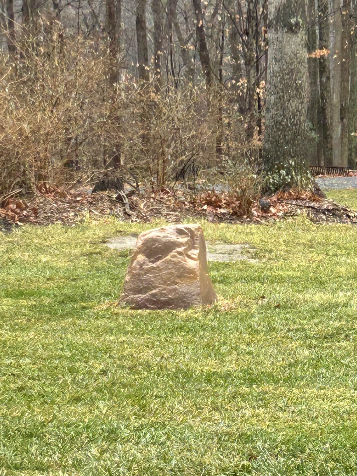 Eurmax USA Galvanized Non-Rust Camping Family Tent Pop Up Tent Stakes Canopy Anchors Heavy Duty 10pc-Pack, with 4x10ft Ropes & 1 Orange Stopper - Customer Photo 1