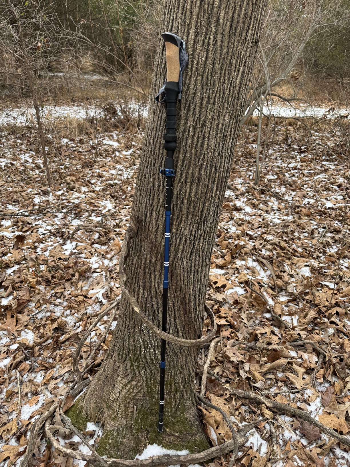 TREKOLOGY Trek-Z Cork Grip Trekking Poles - Lightweight Folding Hiking Poles with Compact Travel Design - Customer Photo 1