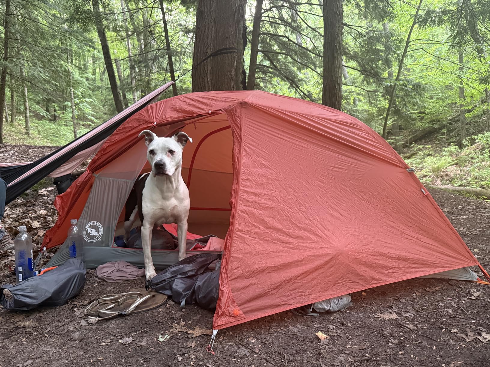 Big Agnes Copper Spur HV UL - Ultralight Backpacking Tent - Customer Photo 5